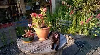 *** Guest house Les Gites Du Couvent Alternatif Camlez France